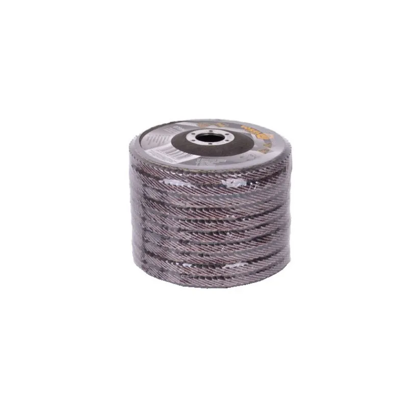 Sale Primusdanmark Flapskiver 10 stk. 125 mm - korn 40