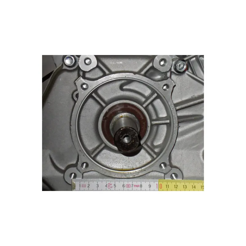 Online Primusdanmark 9 hk Lutian benzinmotor 25 mm aksel
