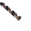 Sale Primusdanmark HSS metalbor - 13 mm - bronze oxid coating