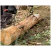 Best Primusdanmark Skovtang - håndmodel - 300 mm